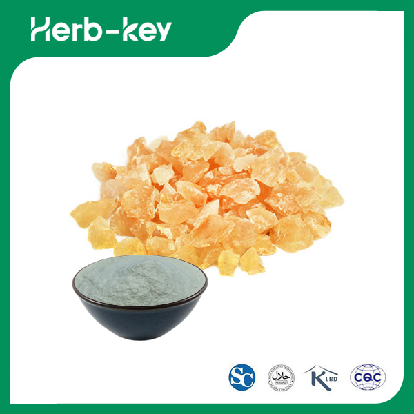 Boswellia Serrata Exudate Extract