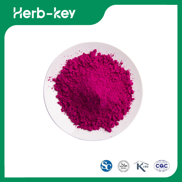 Freeze Dried Red Pitaya Powder