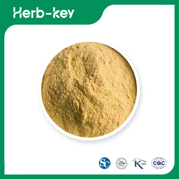 Monk Fruit Extract Powder