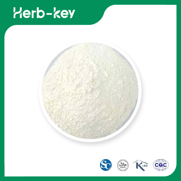 L-lysine Hydrochloride