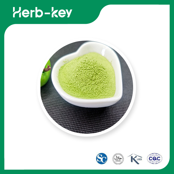Green Kale Powder 