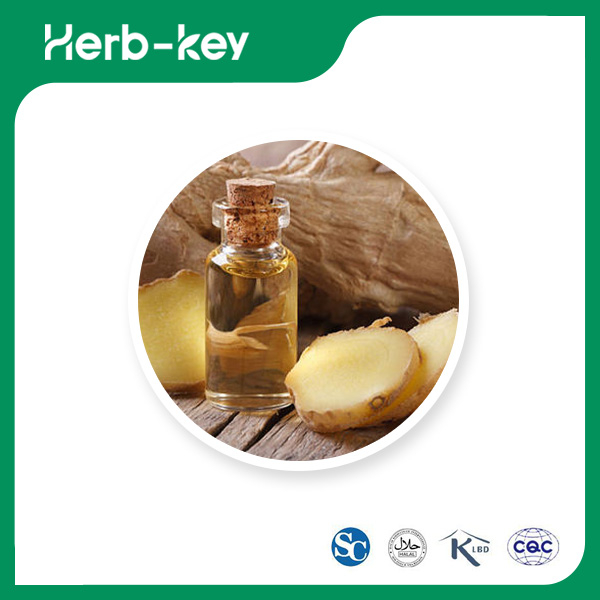 Ginger Essential Oil