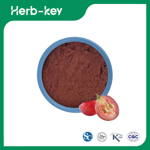 Bio Grape Seed Extract