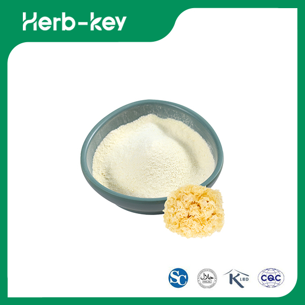 Tremella Extract Powder 