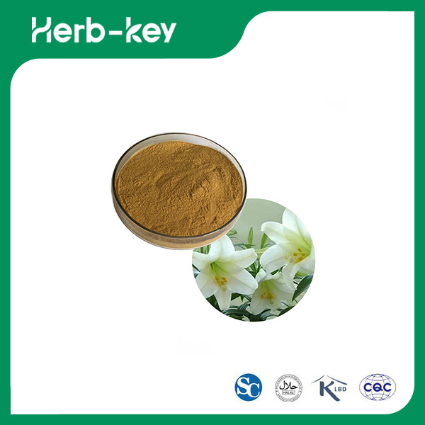 Lily Extract