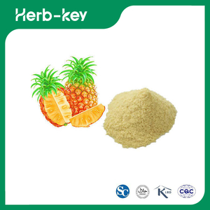 Bromelain Enzyme Powder Pineapple Extract 
