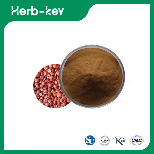 Ziziphus Jujuba Seed Extract