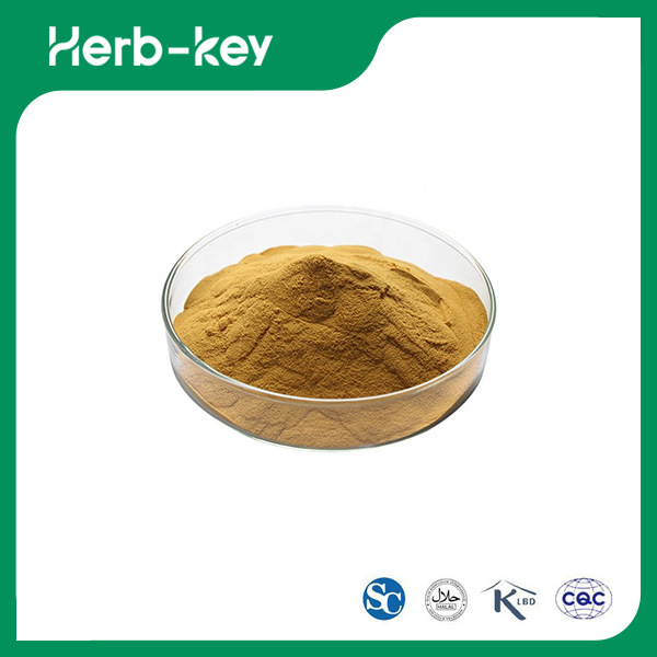 Ophiopogon Japonicus Extract