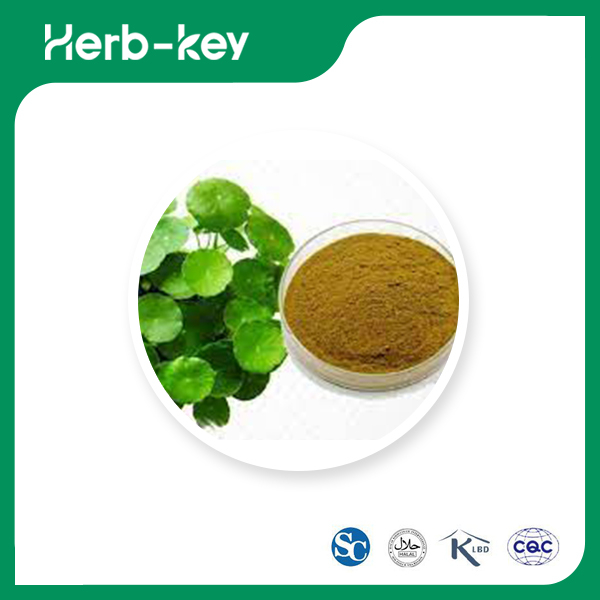 Centella Asiatica Leaf Extract 