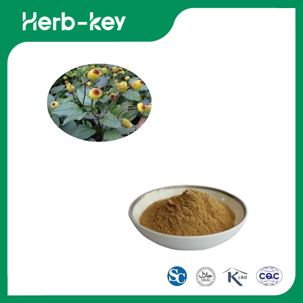Spilanthes Acmella Extract Powder