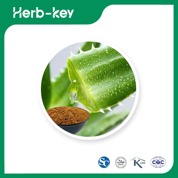 Aloe Vera Plant Extract
